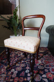 Victorian mahogany balloon back chair with brass castors and newly reupholstered patterned seat