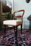Victorian mahogany balloon back chair with brass castors and newly reupholstered patterned seat
