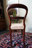 Victorian mahogany balloon back chair with brass castors and newly reupholstered patterned seat