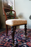 Victorian mahogany balloon back chair with brass castors and newly reupholstered patterned seat