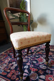 Victorian mahogany balloon back chair with brass castors and newly reupholstered patterned seat