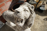 Pair of vintage weathered cast stone garden lion statues standing guard at a house entrance.