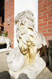 Pair of vintage weathered cast stone garden lion statues standing guard at a house entrance.