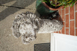Pair of vintage weathered cast stone garden lion statues standing guard at a house entrance.