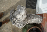 Pair of vintage weathered cast stone garden lion statues standing guard at a house entrance.