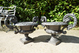 Pair of vintage black cast iron campana garden urn planters with scroll handles and flower medallions on concrete backdrop
