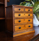 Victorian Style Apprentice Piece Small Drawers Dressing Table Storage Oak Ebonized Edging