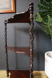 Late Georgian Early Victorian 19th Century Rosewood Whatnot or Plant Stand