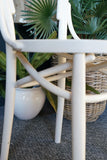 Mid Century Neapolitan Thonet Chair Sautto & Liberale Painted white