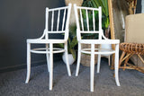 Mid century Pair of White Painted Thonet Chairs