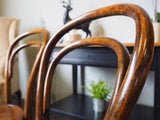 Vintage Pair of Early 20th C. THONET Bentwood Dining Chairs - erfmann-vintage