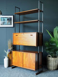 Mid Century Vintage Danish Rare Robex Shelving Unit Cabinets Storage Dark Teak