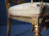 Antique French Louis XVI Guilded Side Chair